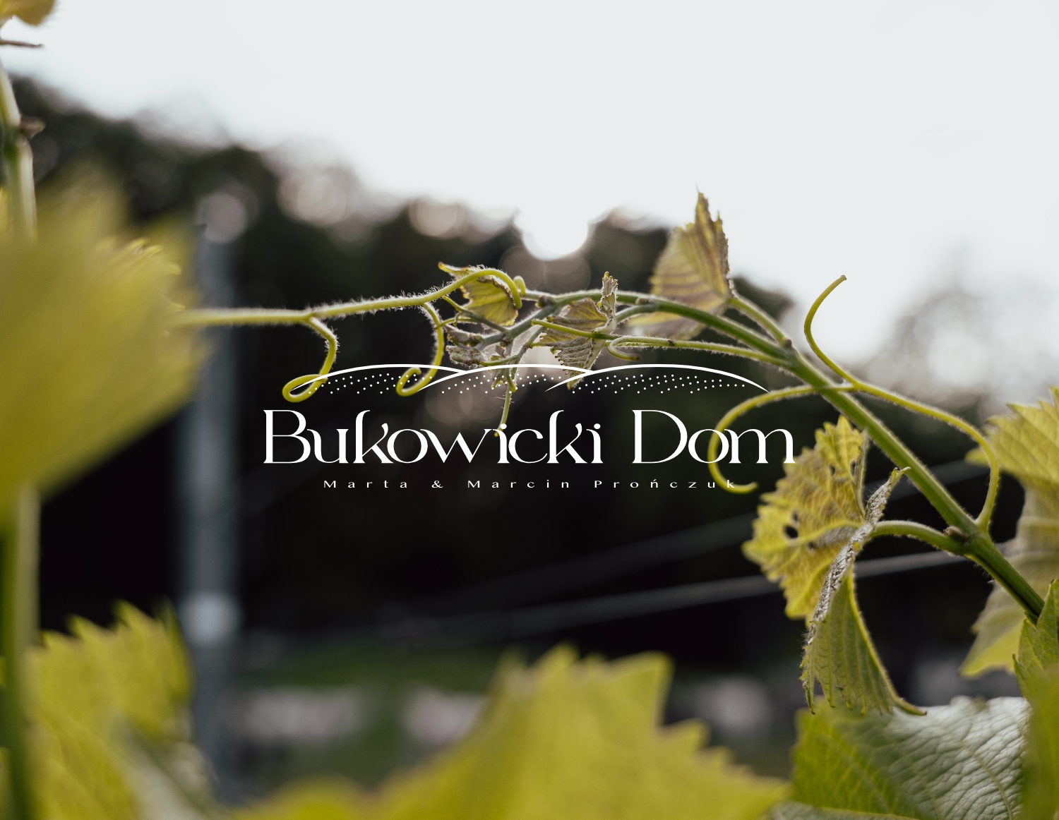 bukowicki-dom